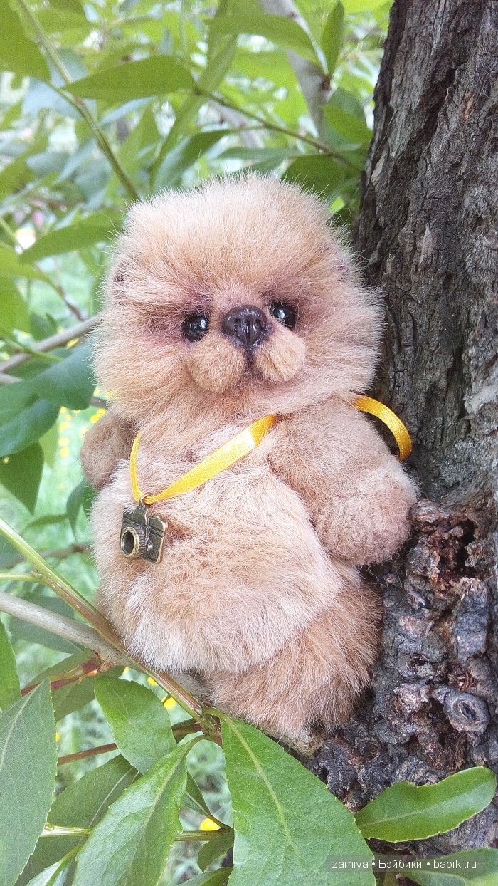 Гоша - мишка тедди малышок (фото 5)