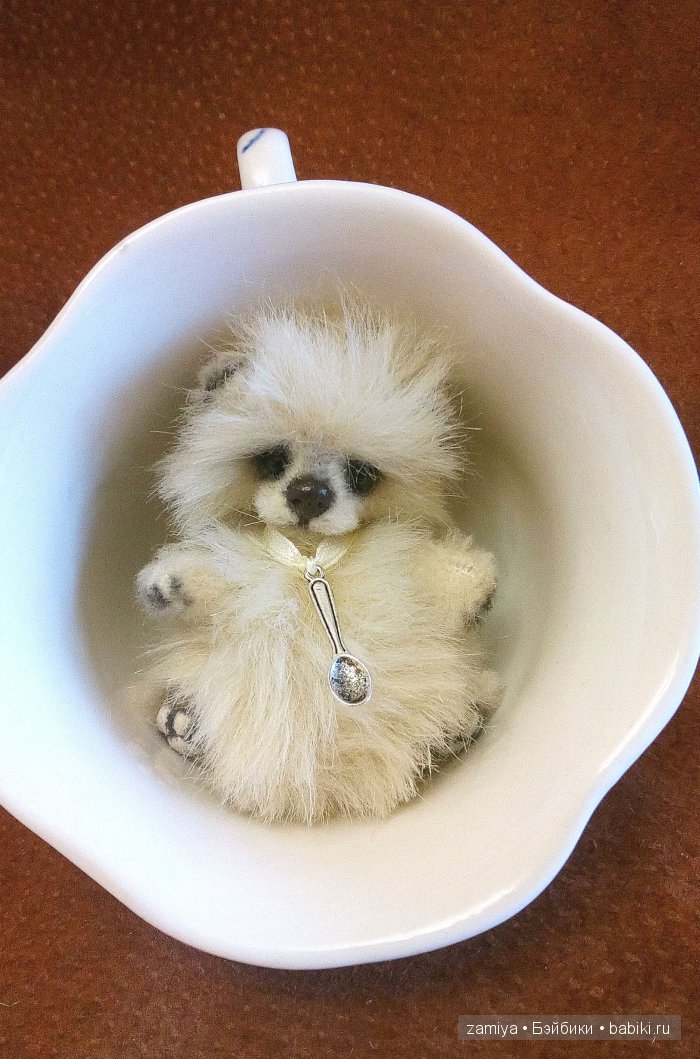 Одуванчик -мой самый маленький мишка тедди (фото 7)