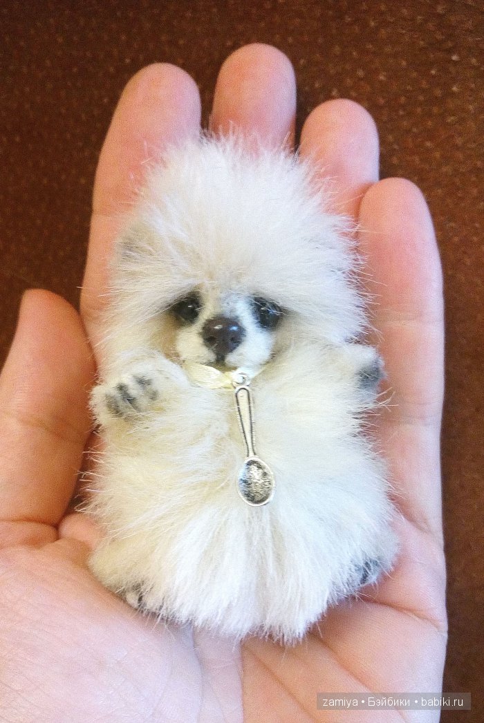 Одуванчик -мой самый маленький мишка тедди (фото 5)