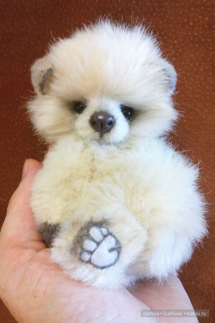 Буня - мой пушистый толстячок мишка теди (фото 2)