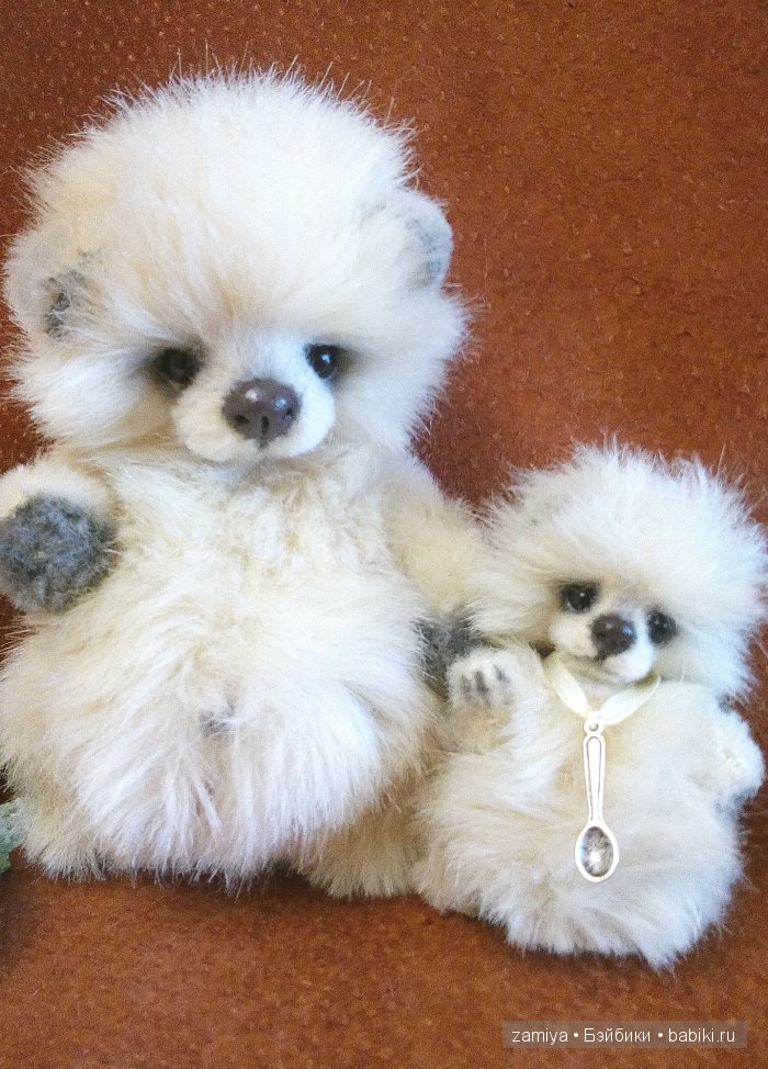 Буня - мой пушистый толстячок мишка теди (фото 7)