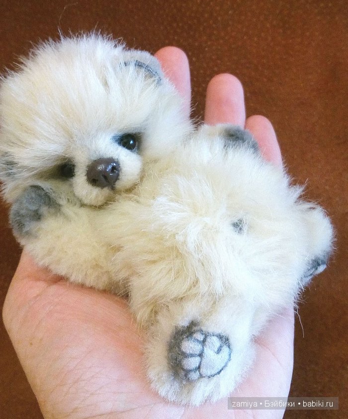 Буня - мой пушистый толстячок мишка теди (фото 6)