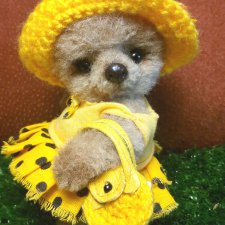 Туся, подружка для мишки тедди Тимошки