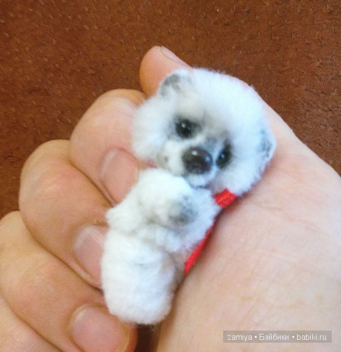 Мой микро - пушистый мишка тедди Мик (фото 4)