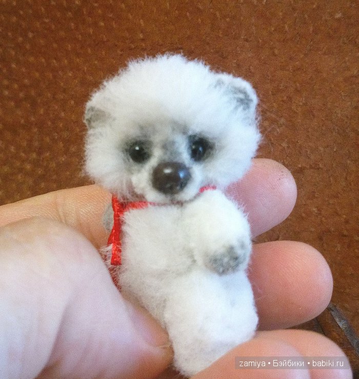 Мой микро - пушистый мишка тедди Мик (фото 2)