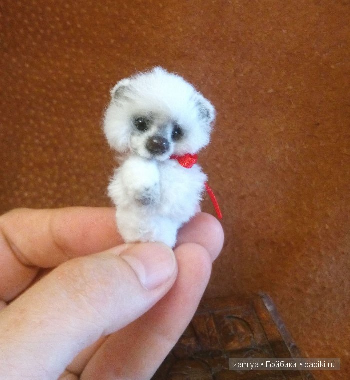 Мой микро - пушистый мишка тедди Мик