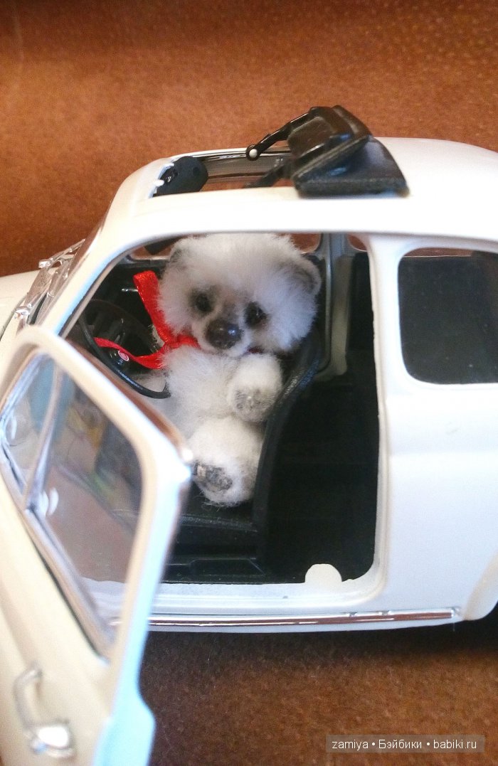 Мой микро - пушистый мишка тедди Мик (фото 8)