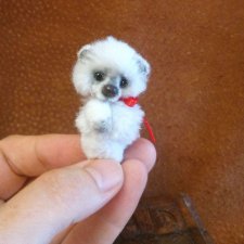 Мой микро - пушистый мишка тедди Мик