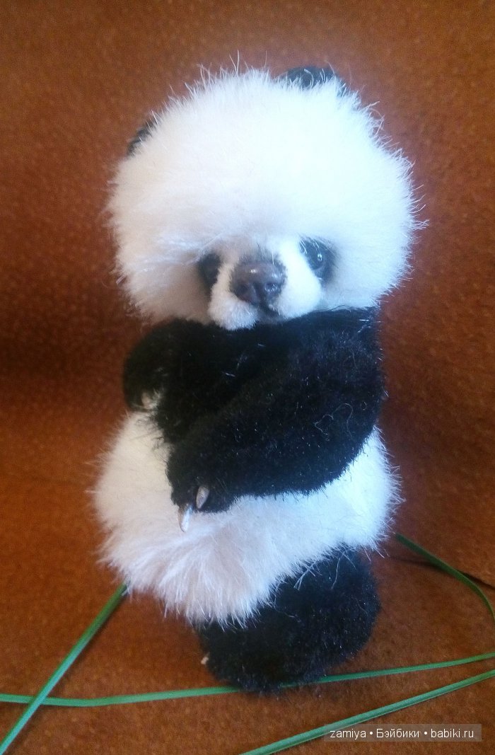 Йокко - мой мишка тедди панденыш