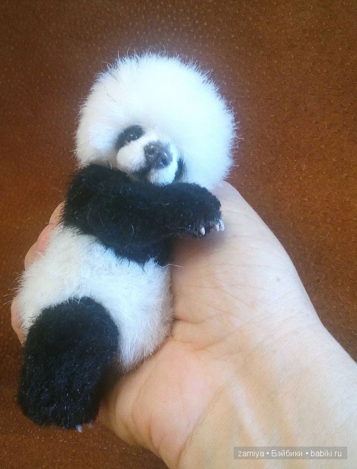 Йокко - мой мишка тедди панденыш (фото 4)