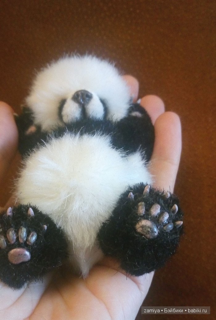 Йокко - мой мишка тедди панденыш (фото 3)