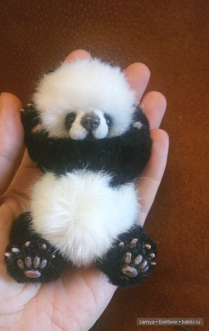 Йокко - мой мишка тедди панденыш (фото 2)