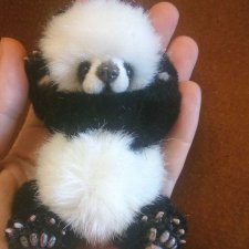 Йокко - мой мишка тедди панденыш