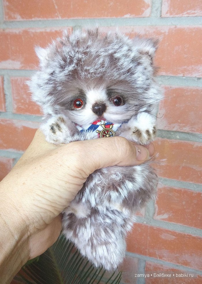 Марсель - котенок с Золотой рыбкой. Игрушка ручной работы (фото 3)