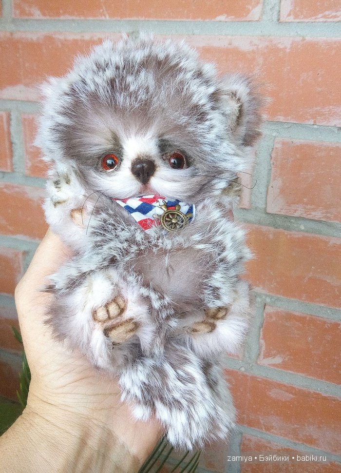 Марсель - котенок с Золотой рыбкой. Игрушка ручной работы (фото 7)