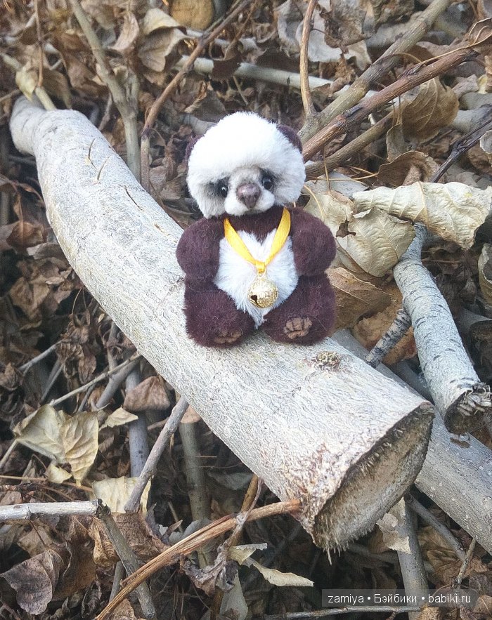 Чинь мимишная пандочка. Мишка тедди (фото 2)