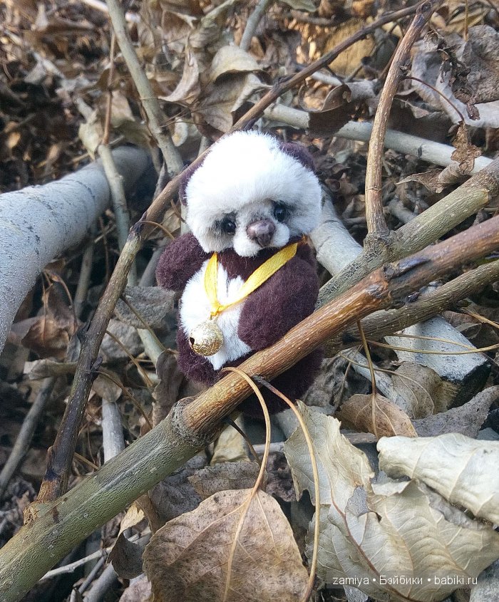 Чинь мимишная пандочка. Мишка тедди (фото 3)