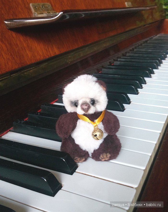 Чинь мимишная пандочка. Мишка тедди (фото 7)