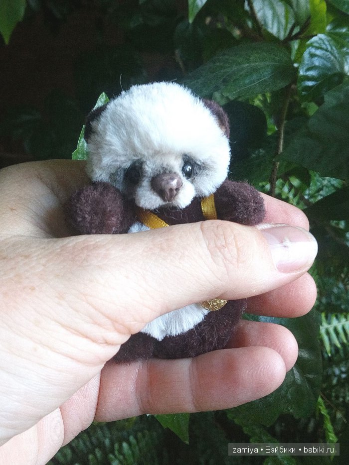 Чинь мимишная пандочка. Мишка тедди (фото 5)