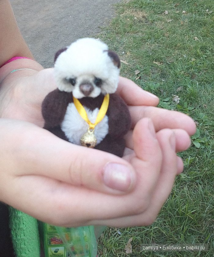 Чинь мимишная пандочка. Мишка тедди