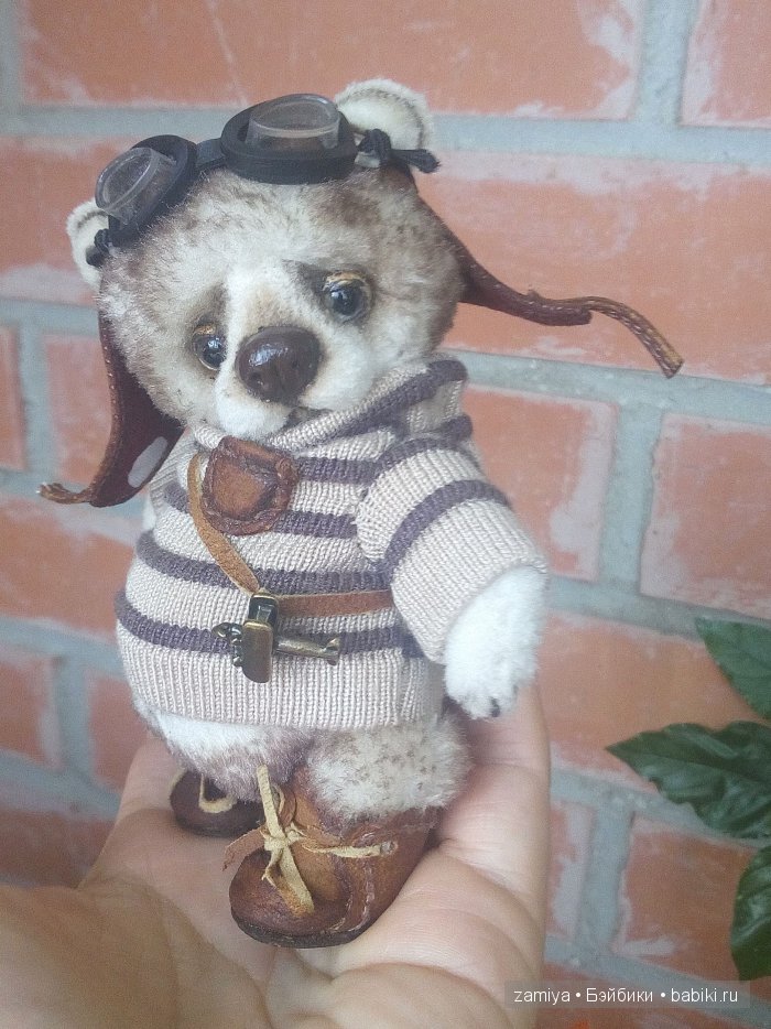 Френки - мой мишка тедди - пилот без самолета (фото 2)