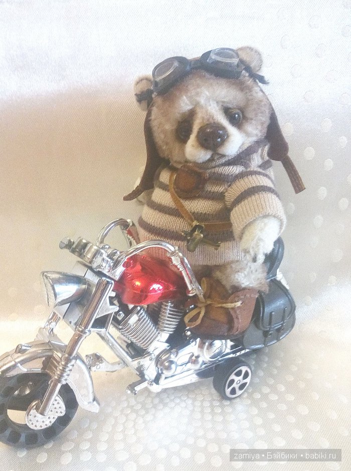 Френки - мой мишка тедди - пилот без самолета (фото 7)