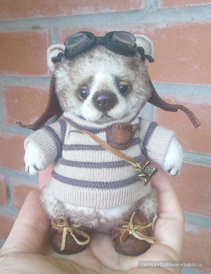 Френки - мой мишка тедди - пилот без самолета