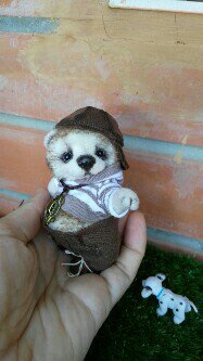 Степка - мой маленький дружок (фото 5)