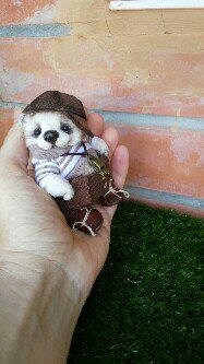 Степка - мой маленький дружок