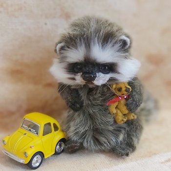 Крошка енот Сема