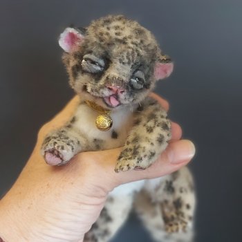 Котёнок снежного барса