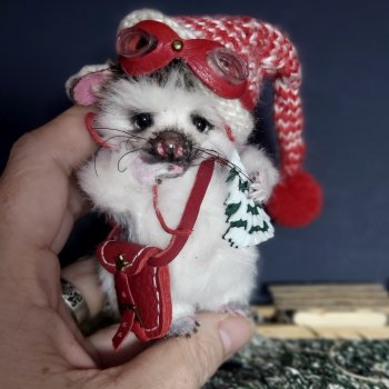 Яшка  - ручной ежик