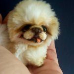 Пушистик в добрые руки!