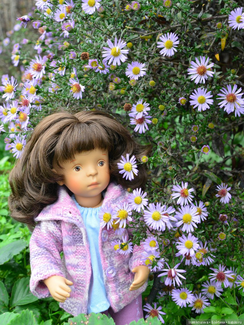 Сентябринки - самые осенние цветы.