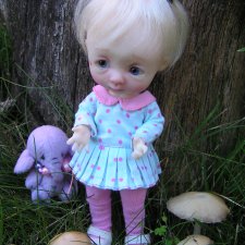 Мы ходили за грибами