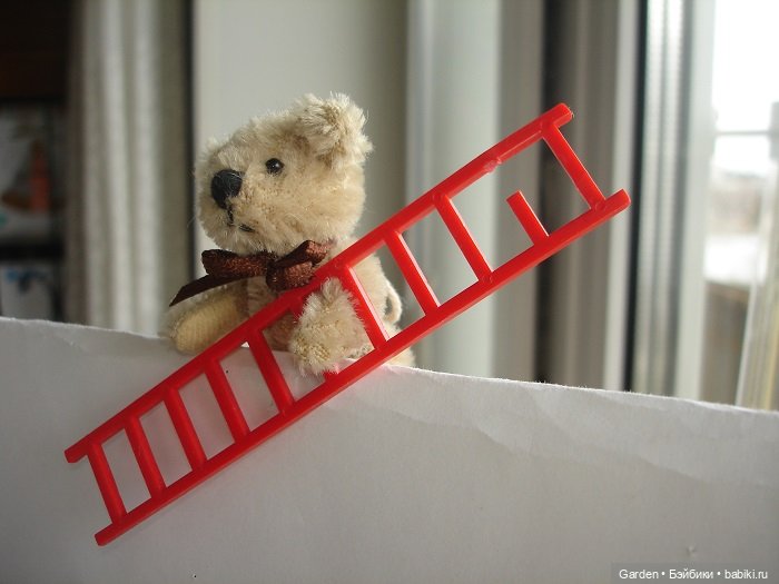 Чем мы занимаемся на карантине