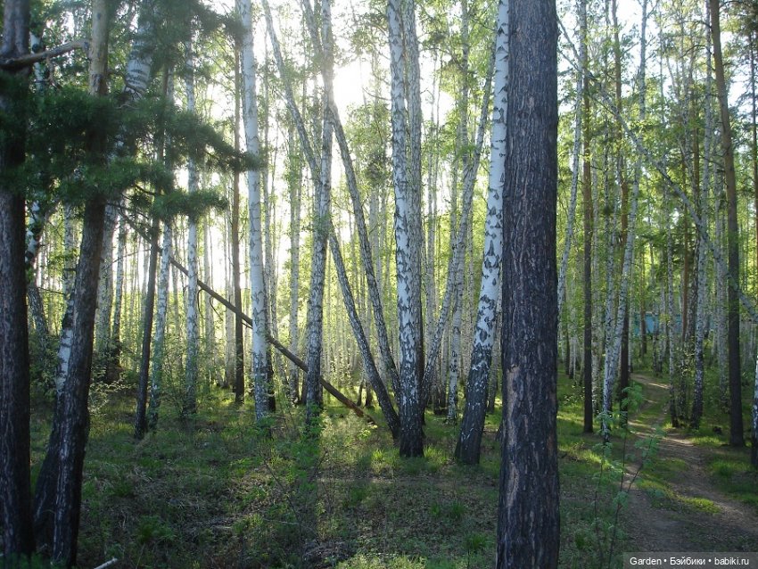 Воскресный день на даче — Куклы Rosemarie Anna Muller (Мюллер): Вихтели (Wichtel)