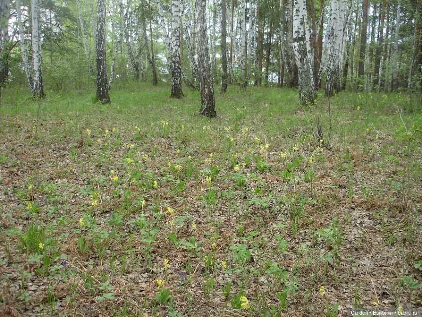 Воскресный день на даче — Куклы Rosemarie Anna Muller (Мюллер): Вихтели (Wichtel)