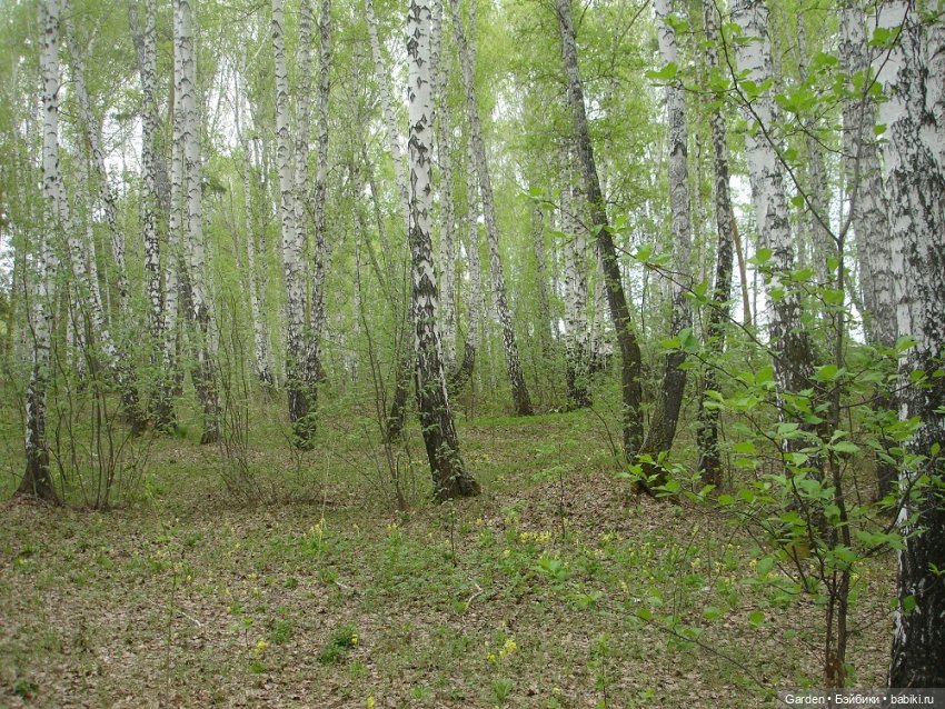 Воскресный день на даче — Куклы Rosemarie Anna Muller (Мюллер): Вихтели (Wichtel)