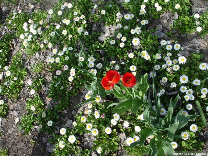 Воскресный день на даче — Куклы Rosemarie Anna Muller (Мюллер): Вихтели (Wichtel)