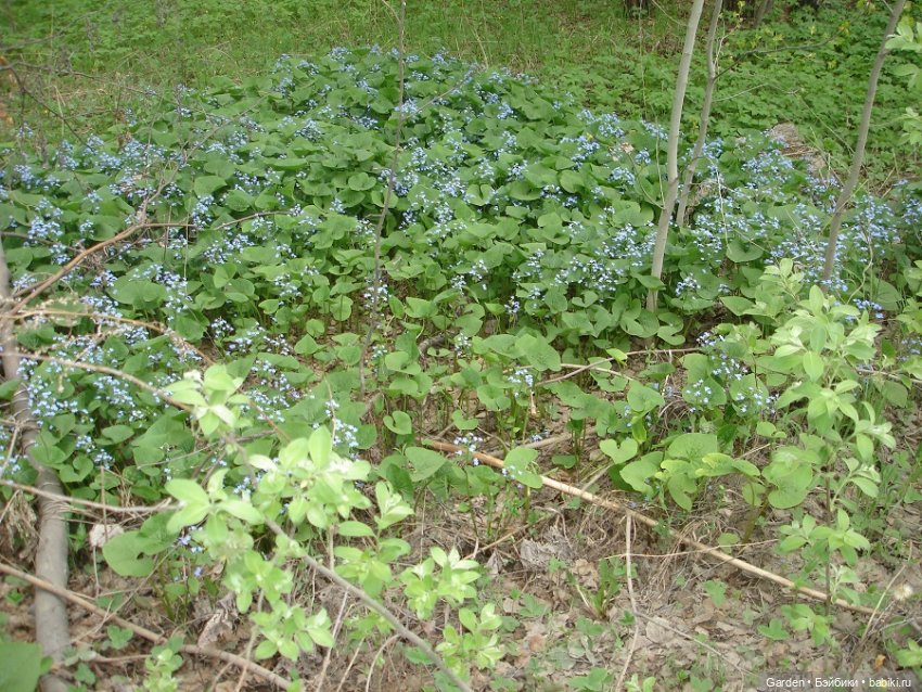 Воскресный день на даче — Куклы Rosemarie Anna Muller (Мюллер): Вихтели (Wichtel)