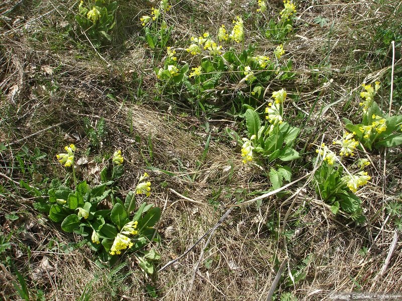 8 отважных покорителей Урала, или юные спасатели (фото 3)