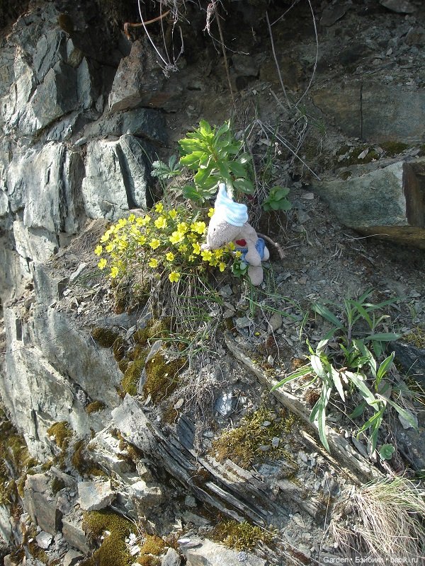 8 отважных покорителей Урала, или юные спасатели. Окончание похода (фото 5)