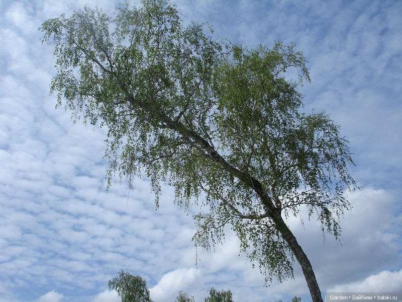 8 отважных покорителей Урала, или юные спасатели. Окончание похода