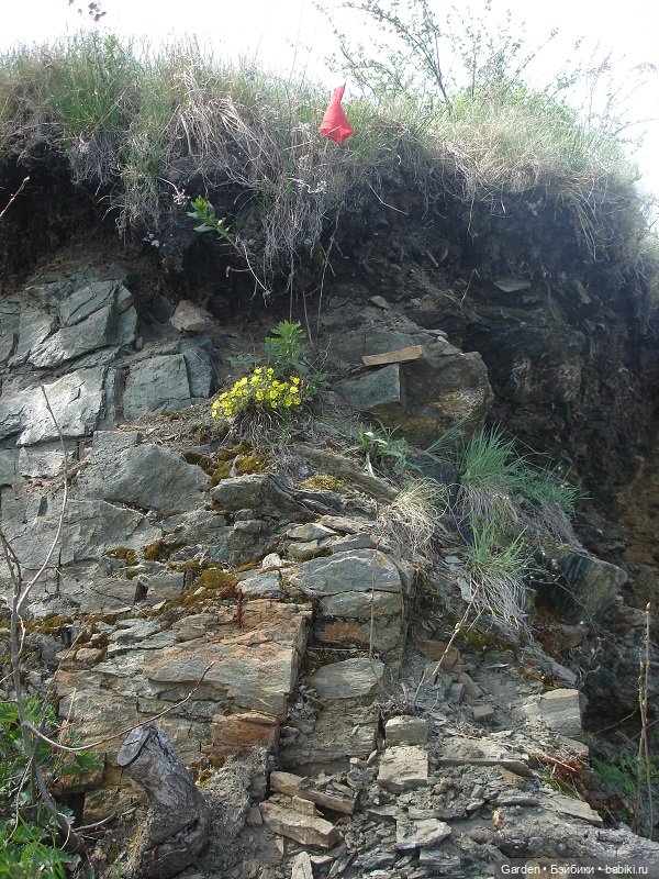 8 отважных покорителей Урала, или юные спасатели. Окончание похода