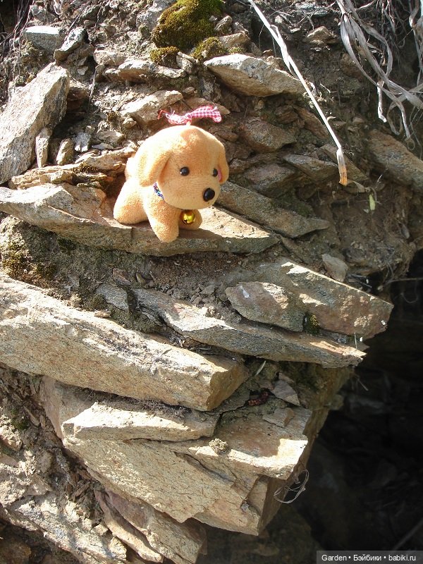 8 отважных покорителей Урала, или юные спасатели. Окончание похода (фото 6)