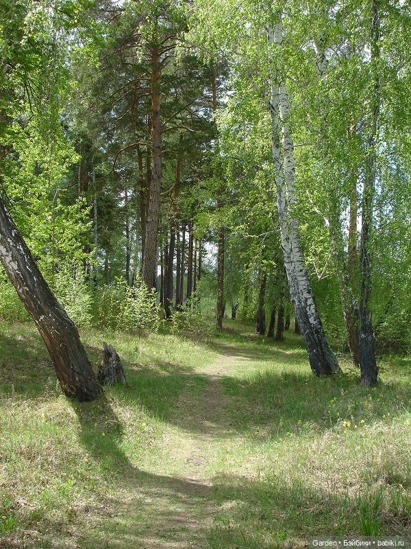 8 отважных покорителей Урала, или юные спасатели. Окончание похода