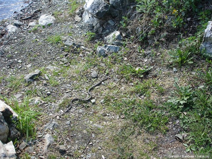 8 отважных покорителей Урала, или юные спасатели. Окончание похода