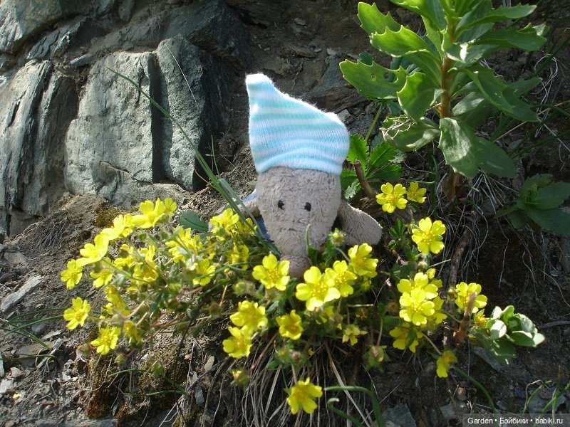 8 отважных покорителей Урала, или юные спасатели. Окончание похода (фото 7)