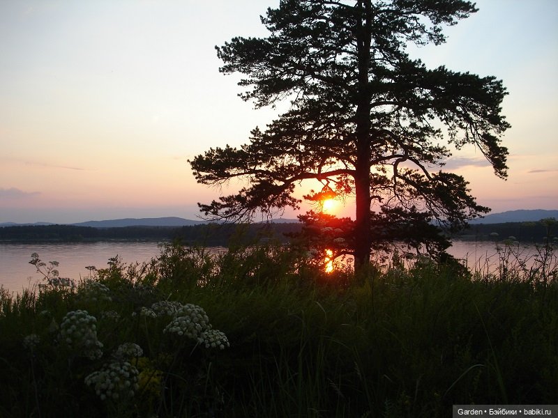 Как упоительны летние вечера (фото 3)